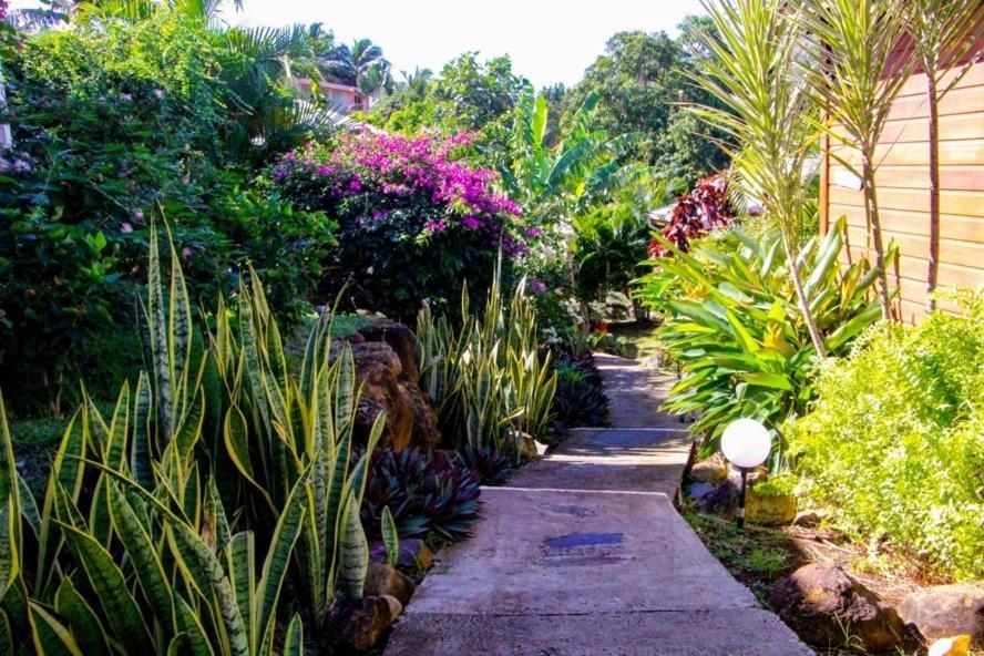 Guest house Amour Deshaies 4*