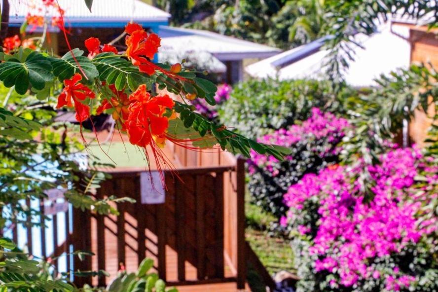 Guest house Amour Deshaies