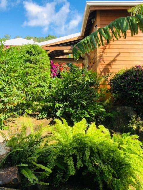 Amour Deshaies Guest house