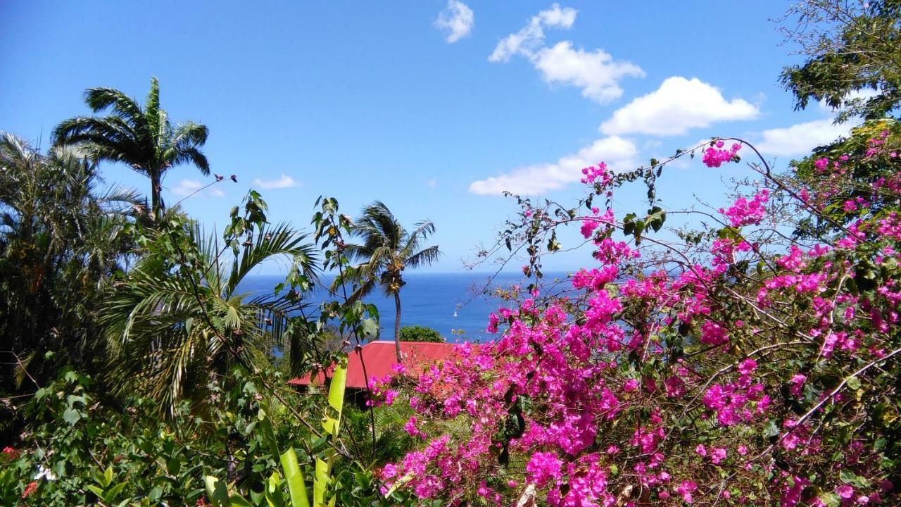 Guest house Amour Deshaies Deshaies