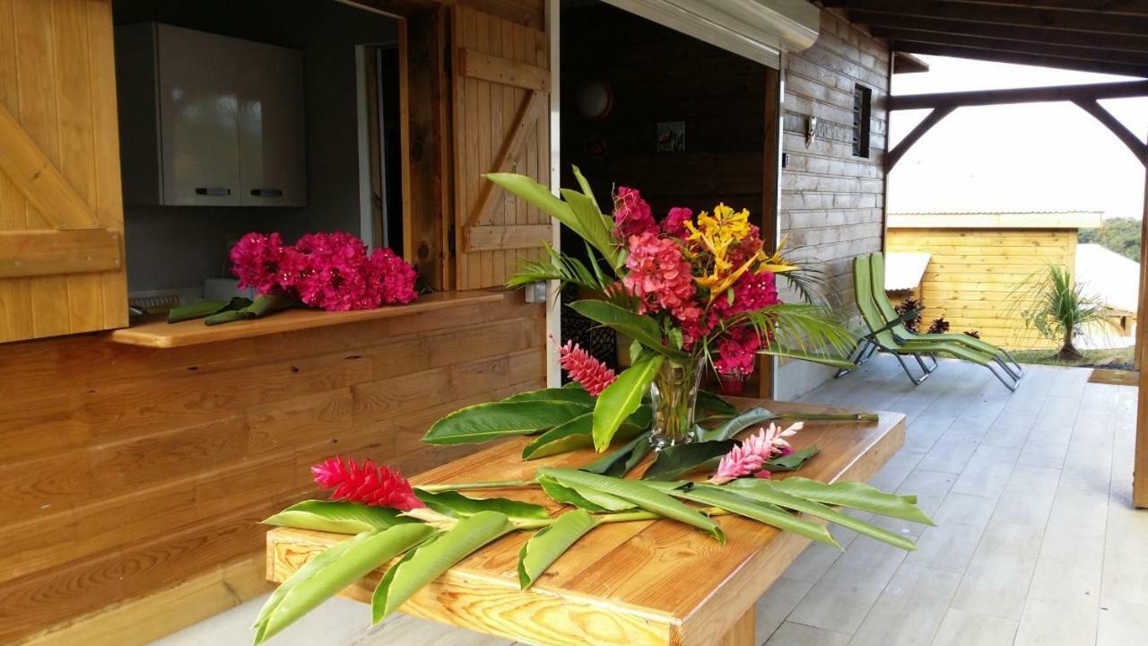 Amour Deshaies Guest house