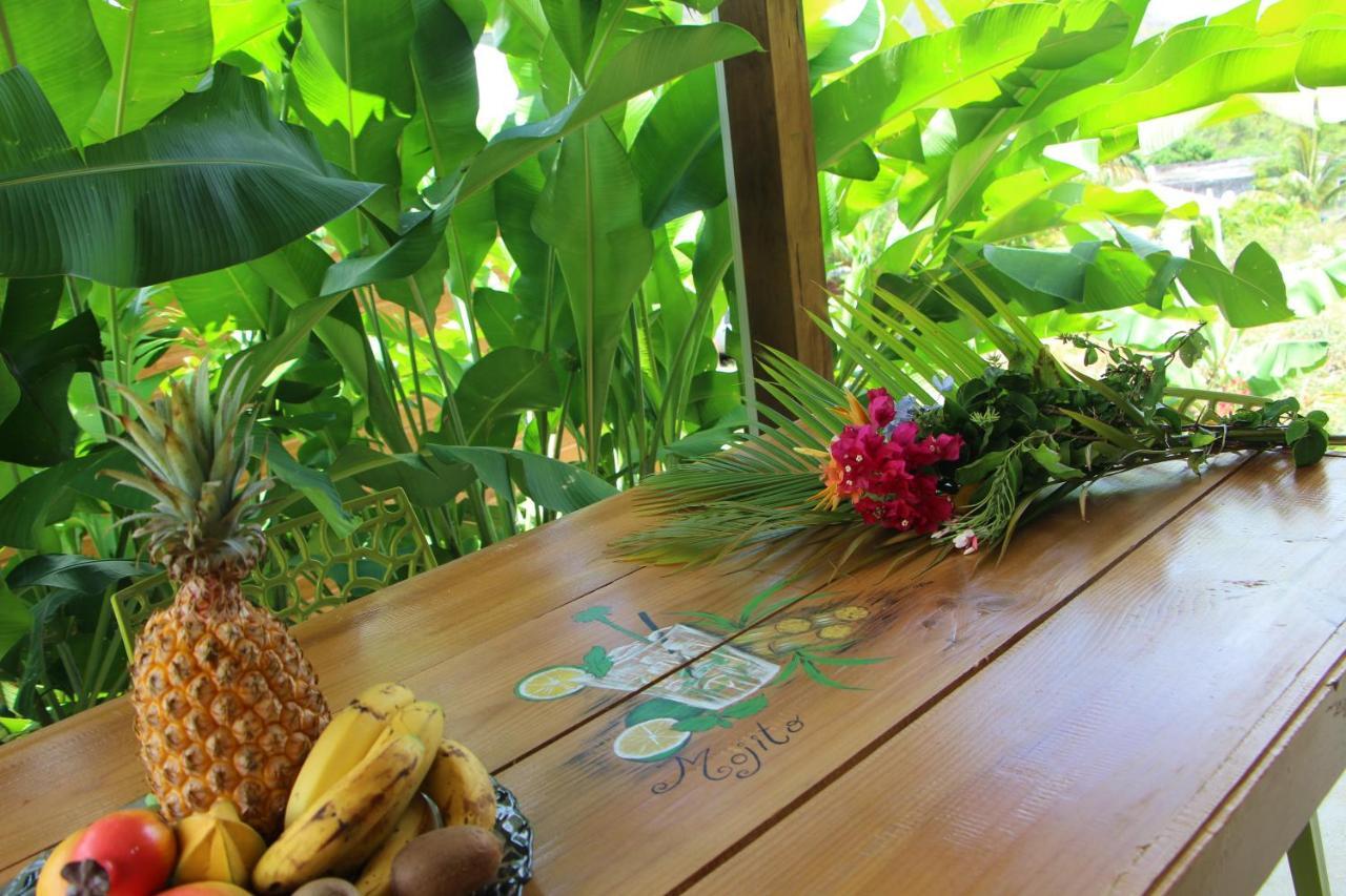 Amour Deshaies Guest house 4*